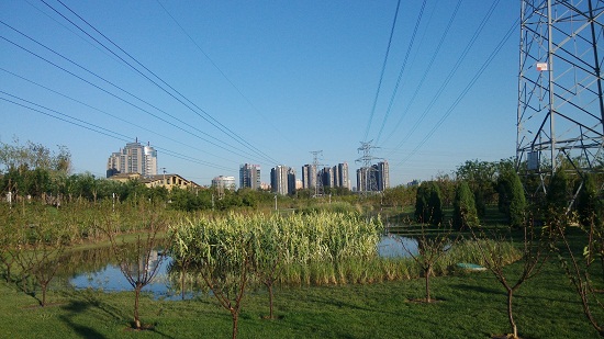 北京望和公园规划设计分析