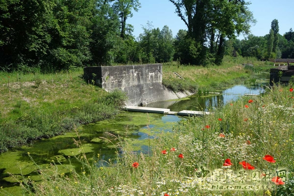 瑞士日内瓦艾尔河生态修复工程赏析