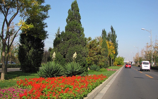北京奥运中心区整体道路景观系统规划设计