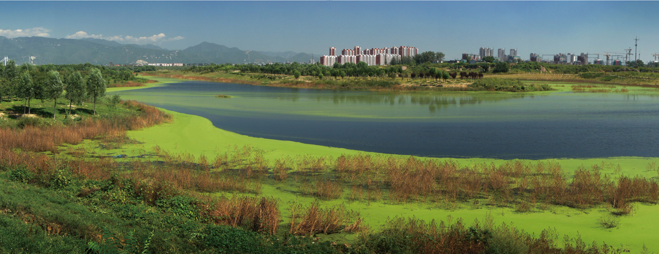 北京昌平新城万亩滨河森林公园规划设计