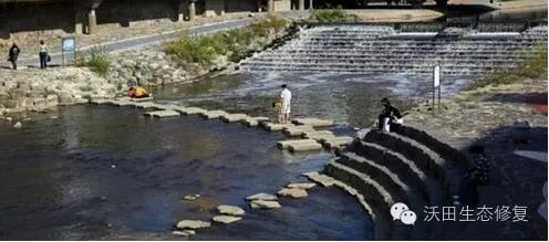 韩国两个河流生态恢复案例