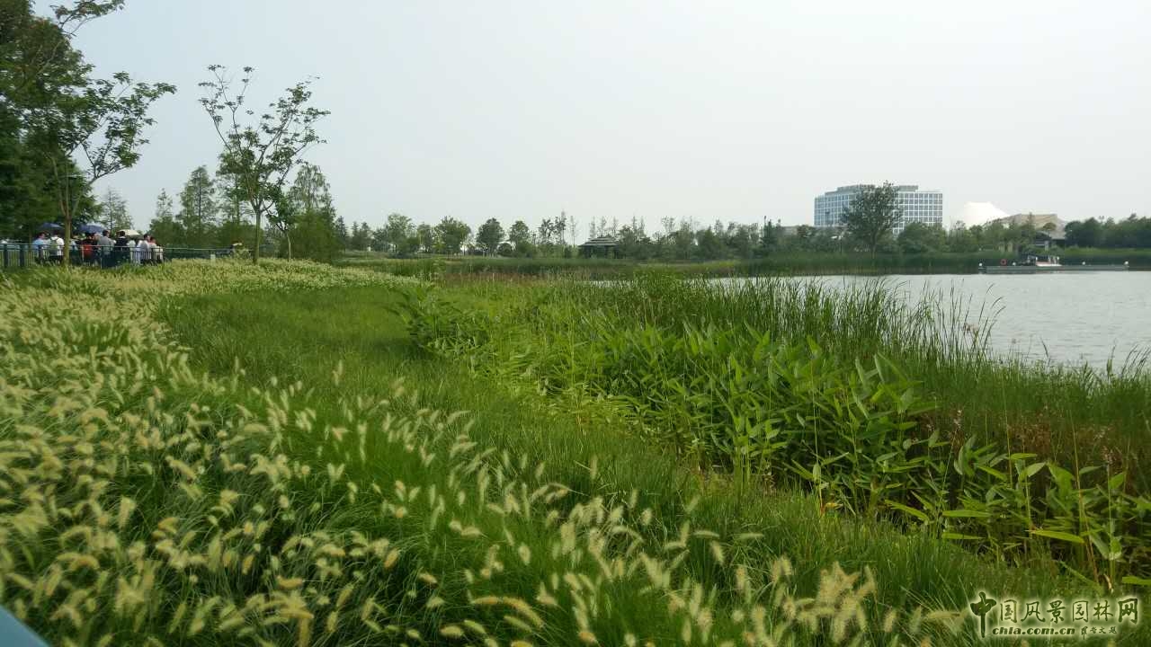 列报道4:南林风景园林学院走进上海园林集团_