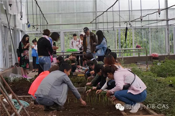 “珍稀濒危植物资源收集圃”在丽江高山植物园揭牌