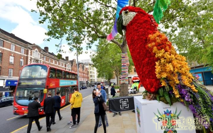 英国2016切尔西花展掀起的花艺设计热潮