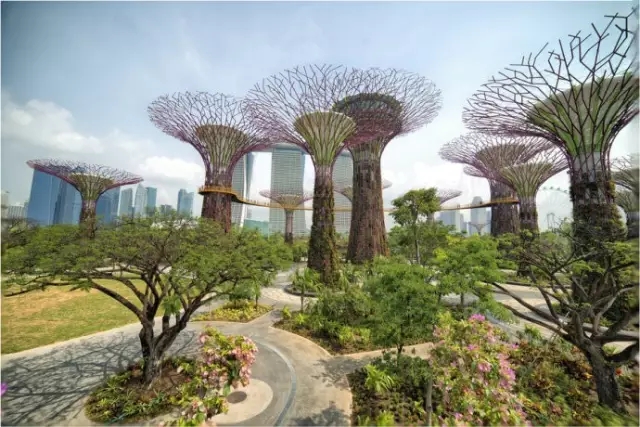 新加坡超级树公园地下的“秘密”