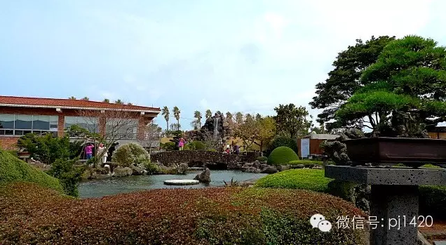 世界最大的盆栽公园——思索之苑