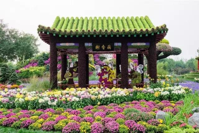 北京花木公司：圆满完成唐山世园会国际精品菊花展工作