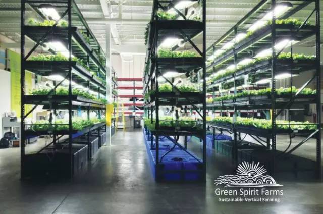 围观全球11大高科技农场 LED光源助力植物生长
