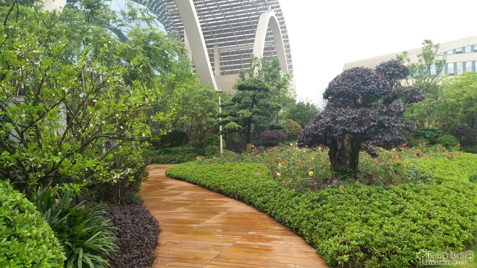 2016园冶杯专业奖参赛项目：杭州国际博览中心屋面园林绿化工程