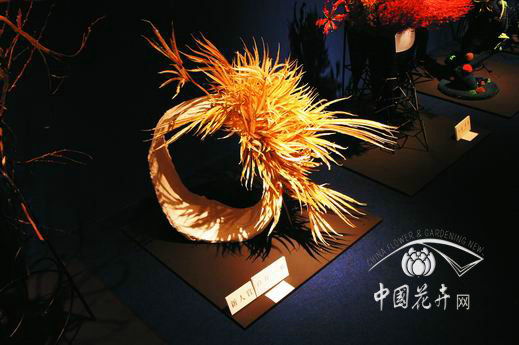 日本草月流创立90周年纪念花展 