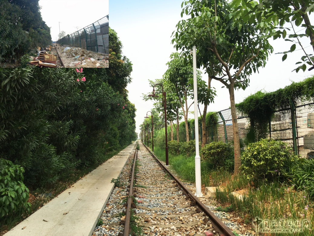 2016园冶杯: 厦门自贸区铁路公园绿化工程