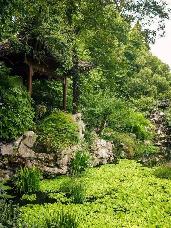 西湖边上灵动的中国古典园林