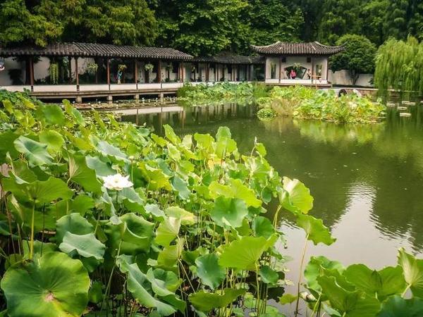 西湖边上灵动的中国古典园林