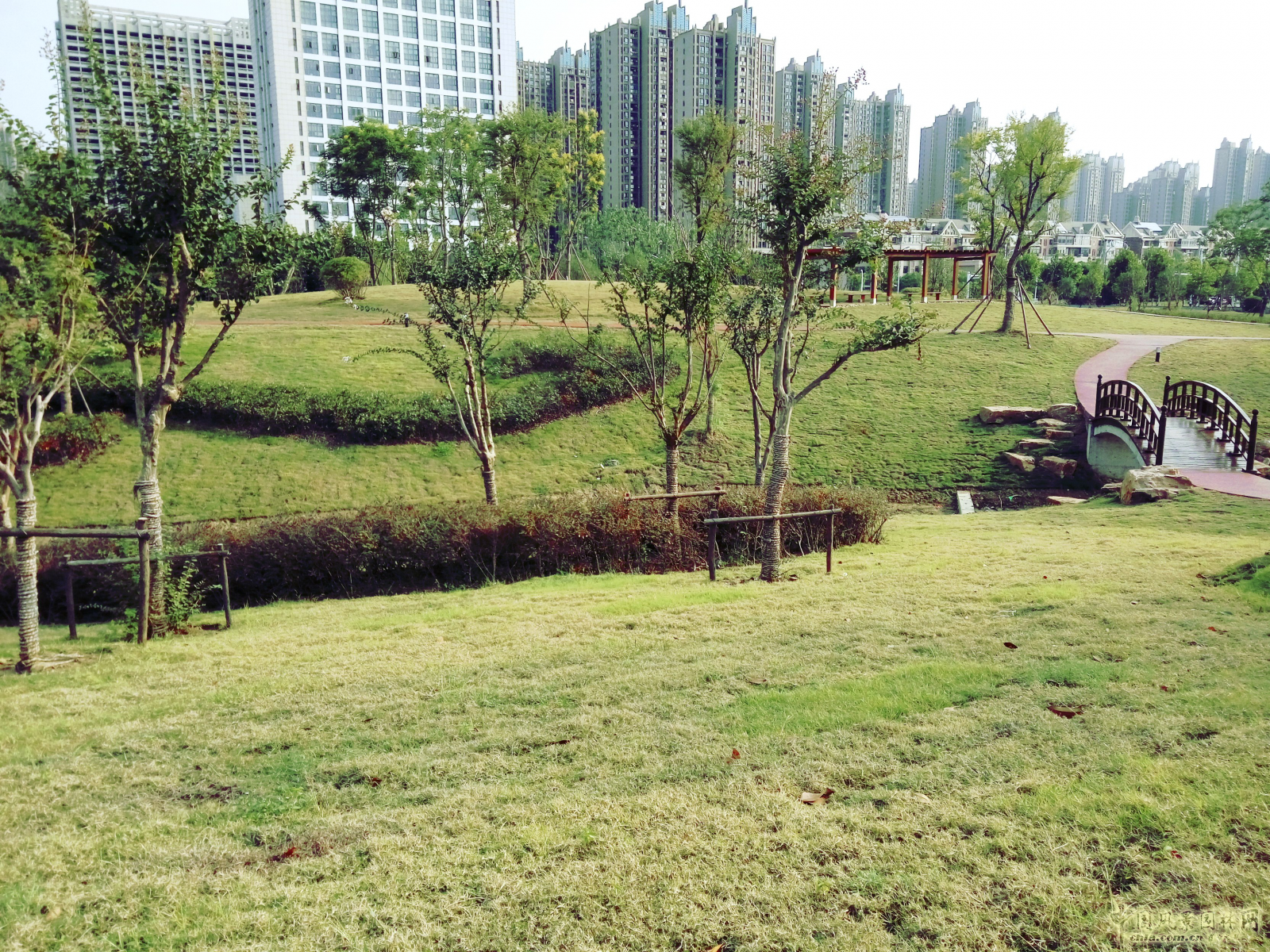 2016园冶杯:塘西河公园景观（广西路以西）绿化提升工程