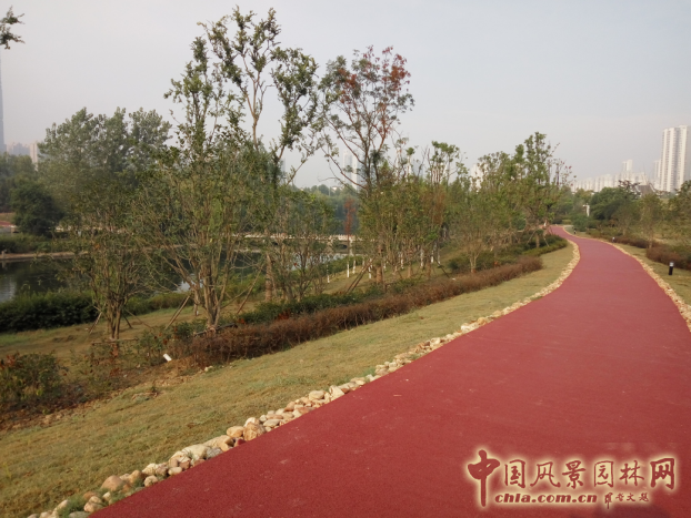 2016园冶杯:塘西河公园景观（广西路以西）绿化提升工程