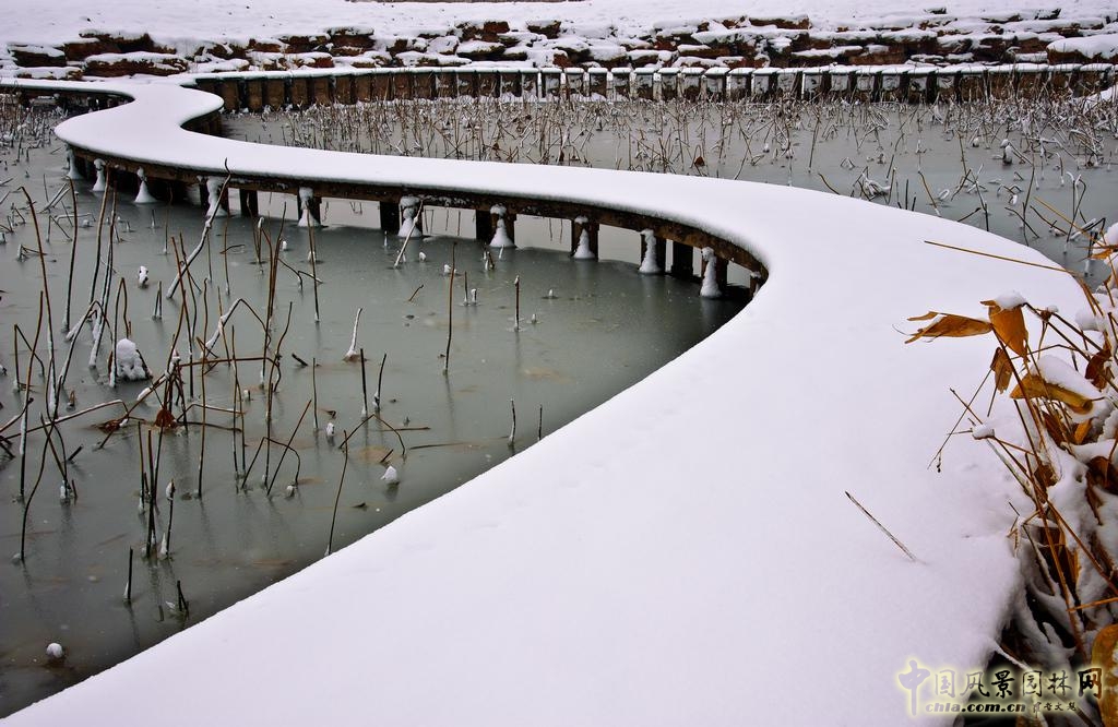 2016园冶杯：尹山湖环湖二期景观设计