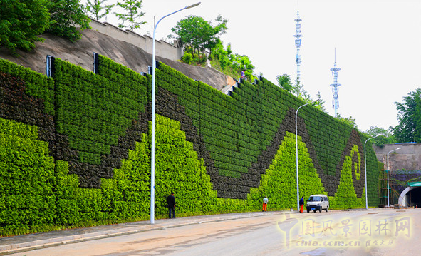 厦门崇圣生态：生态绿墙在项目中的应用