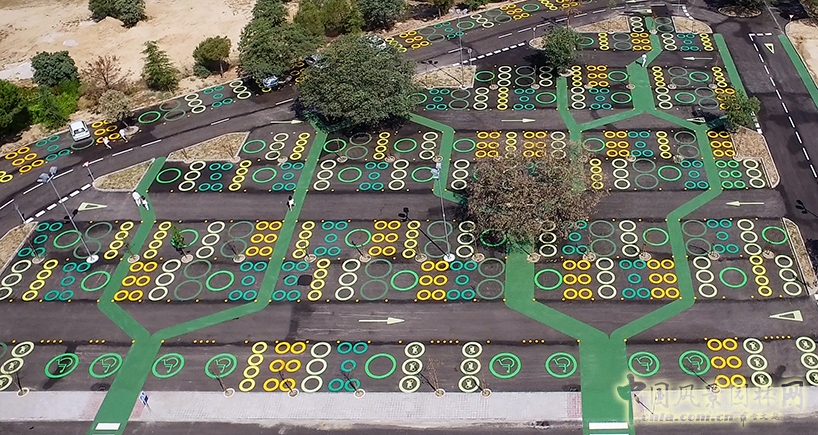 马德里树形结构校园停车场景观