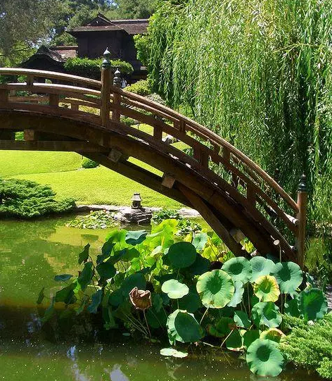 园林鉴赏：日本庭院中的美学禅意