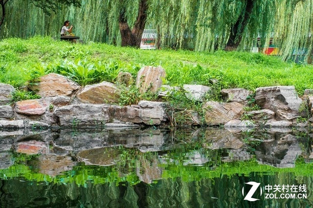 北京园林颐和园的花草树木