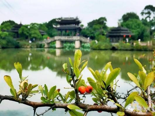 上海这个深藏不露的绝美园林免费开放10天