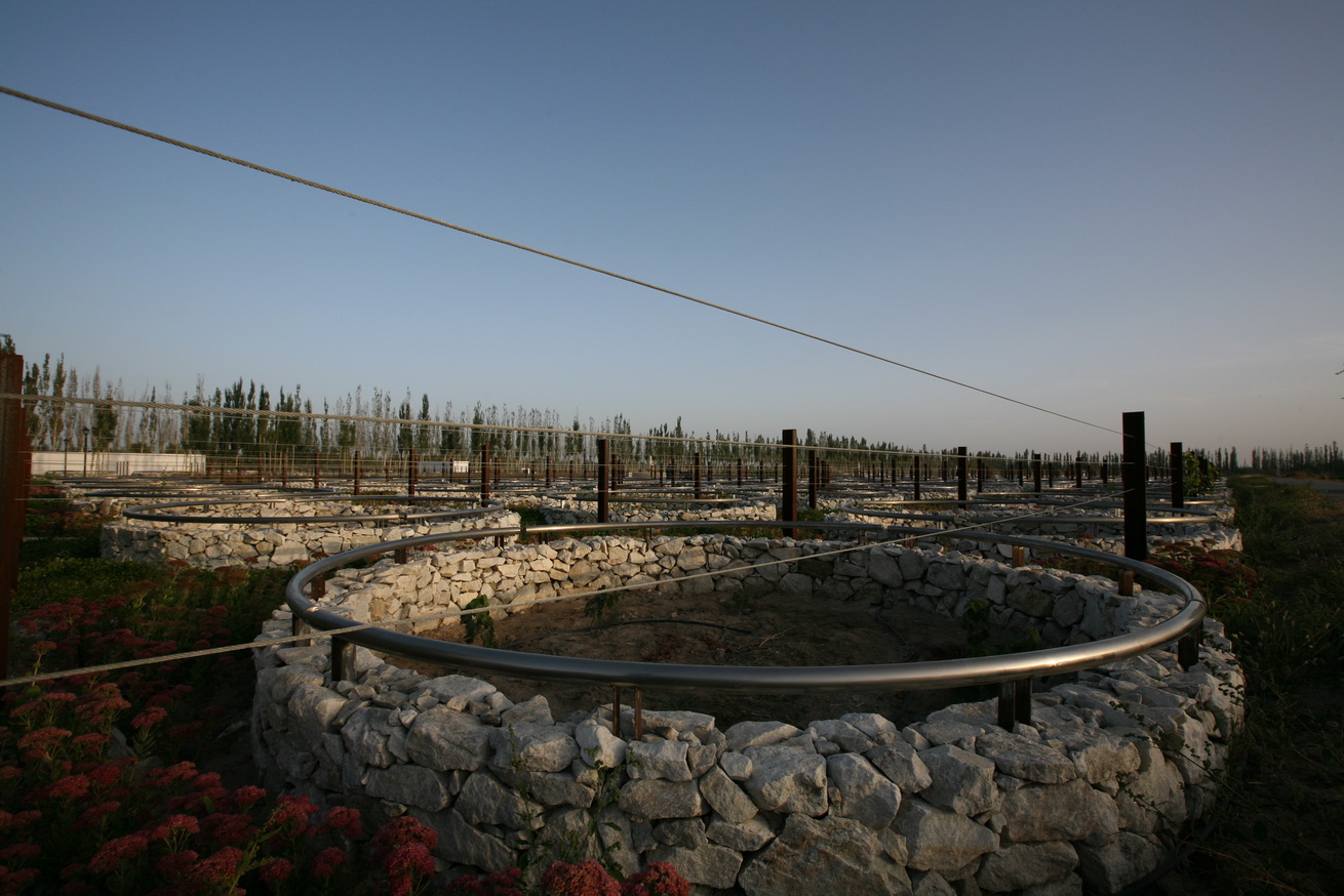 章俊华作品：单调中的超越——新疆瑞丰葡萄酒庄景观设计