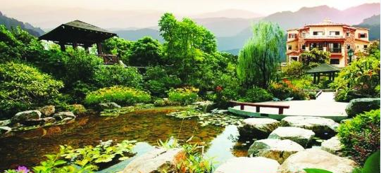 中海香樟墅园林开放吸引千余人到访