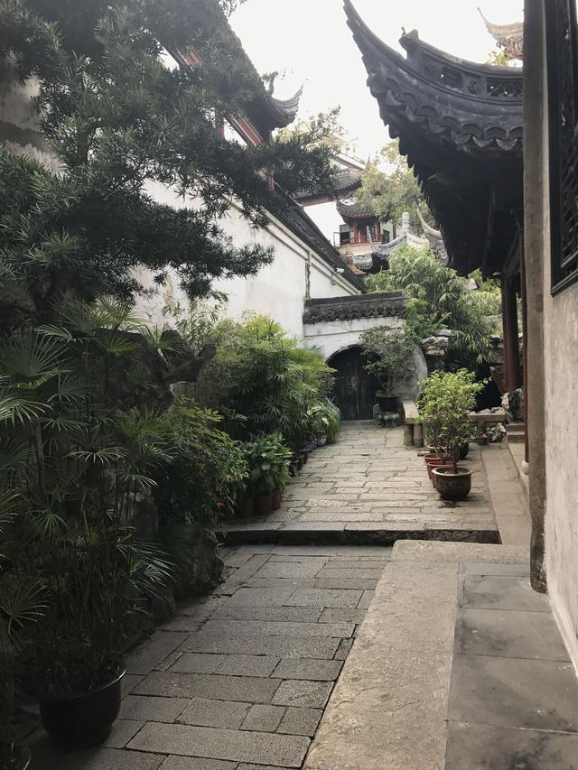 上海豫园：隐匿在闹市中的江南园林