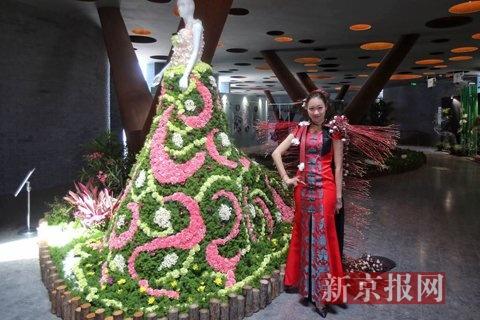 北京：1200多种花卉亮相北京世园会园艺展