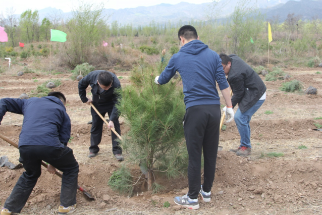 森源达积极参与中央国家机关单位义务植树活动