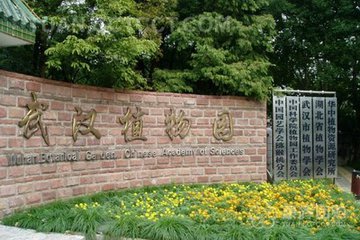 武汉植物园生物多样性监测网络基地揭牌