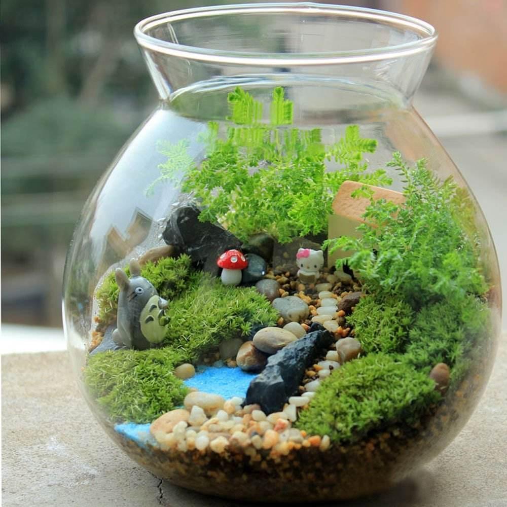 自己动手制作玻璃植物景观