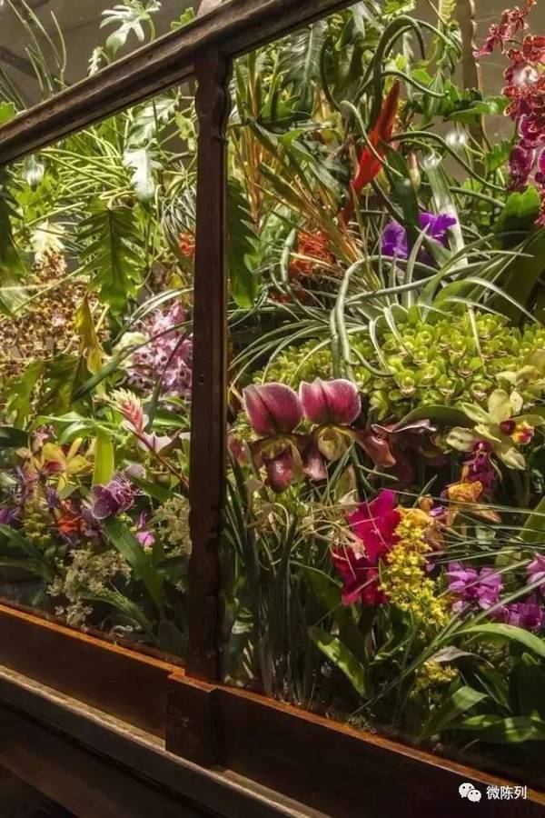 橱窗布置：植物世界可以多极致？