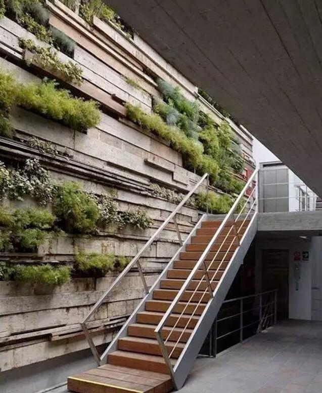 植物墙激活黯然的建筑