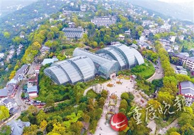 重庆：南山植物园温室布景还原热带雨林风貌