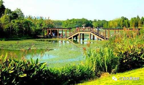 江西十大最美湿地公园 惊艳了时光