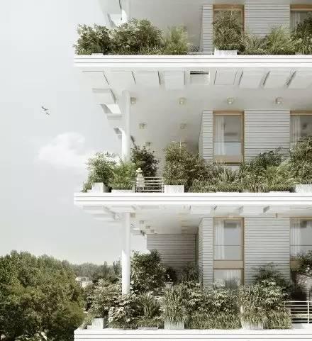 垂直花园设计为生活带来满满绿意