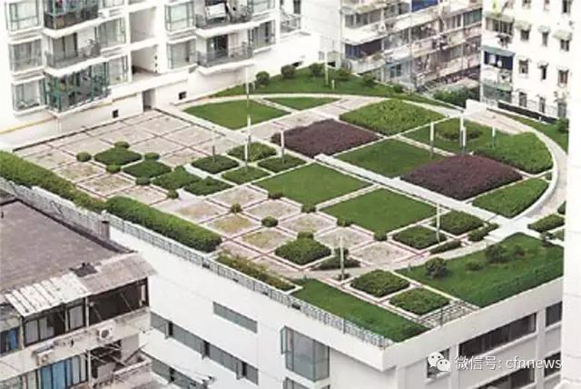 屋顶绿化需要综合考量多种因素