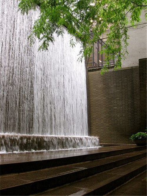 雨水花园：永续利用花园和园林中的水资源