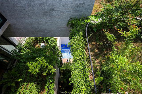 带屋顶花园的绿色住宅