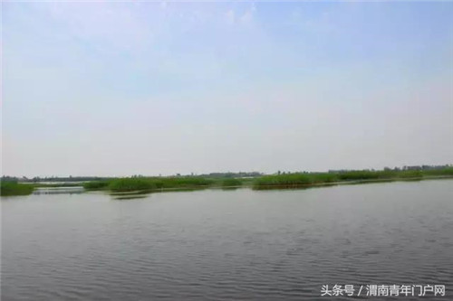 大荔朝邑湖湿地公园湿地美景令人赞叹