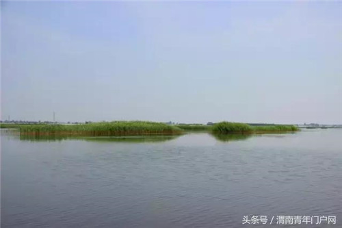 大荔朝邑湖湿地公园湿地美景令人赞叹