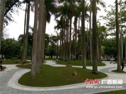 广西南宁南湖公园将建成“流淌的城市花园”