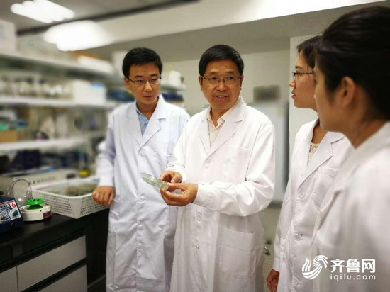 山东农业大学揭示激素调控植物干细胞机理
