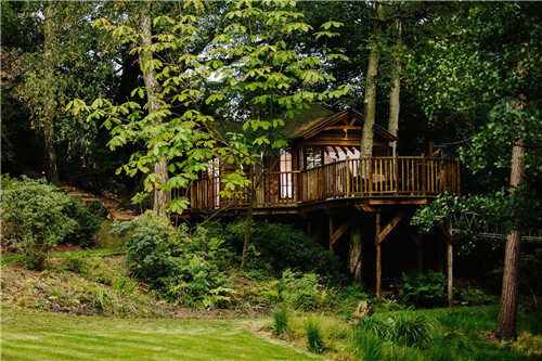 “蓝森林”树屋给你树梢间生活的神奇体验