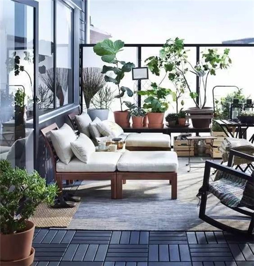 植物造景：如何布置你的阳台？