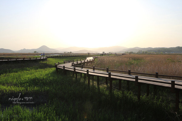 韩国顺天湾湿地的秘密