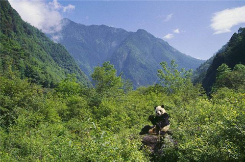 中国最美的十大自然保护区_人居环境_中国风