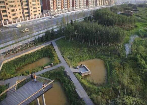 国内雨水花园实践：黑龙江群力雨水花园