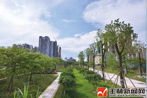 广西玉林市：全民打造一座园林之城（多图）